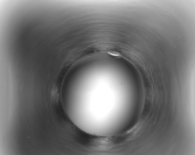 X0000089430086200706221219