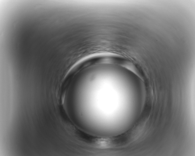 X0000089430088200706221219