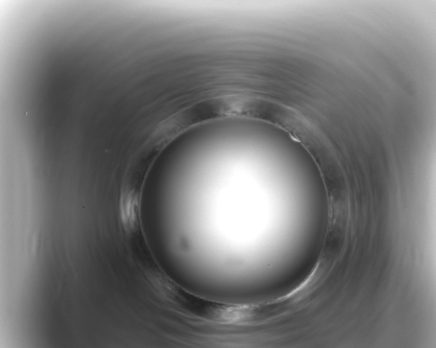 X0000089430094200706221219