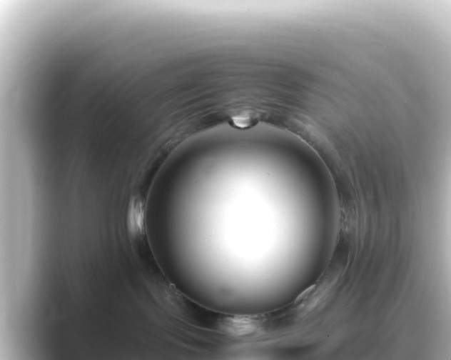 X0000089430095200706221219