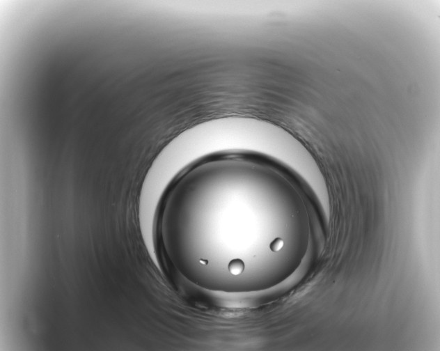 X0000089430096200706221219