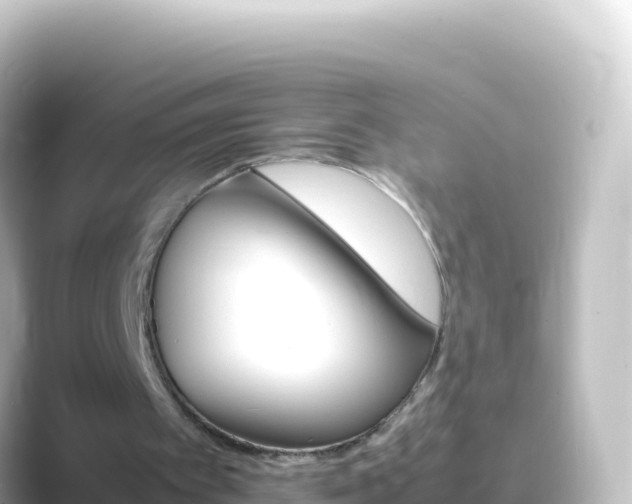 X0000089430097200706221218