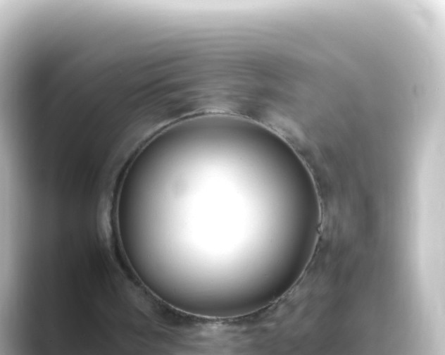 X0000089430098200706221218