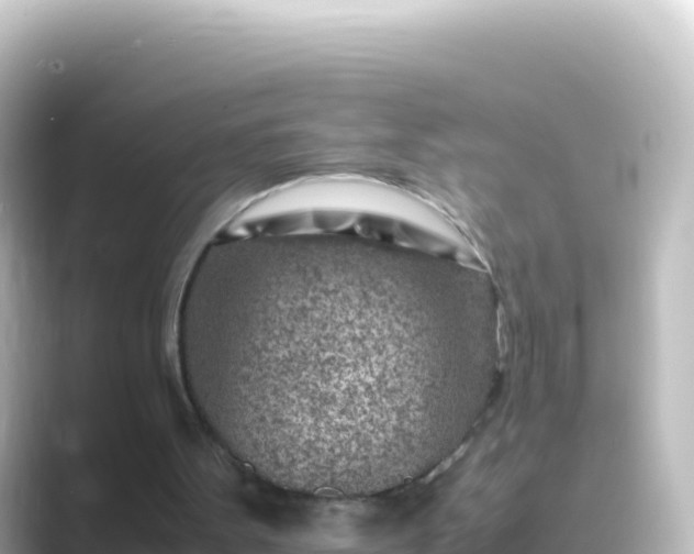 X0000089430099200706221218