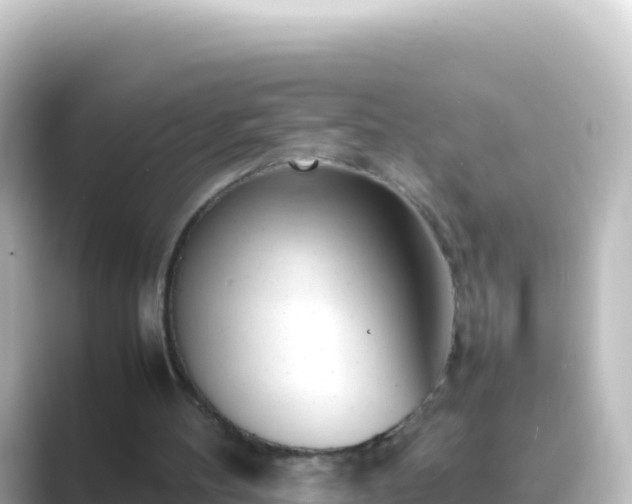 X0000089430100200706221218