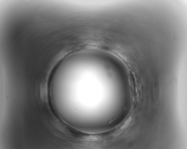 X0000089430102200706221218