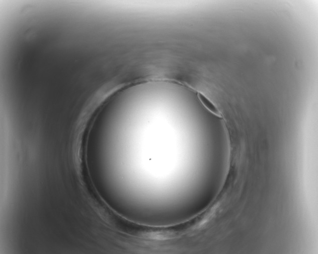 X0000089430103200706221218