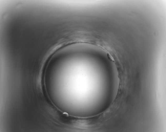 X0000089430104200706221218