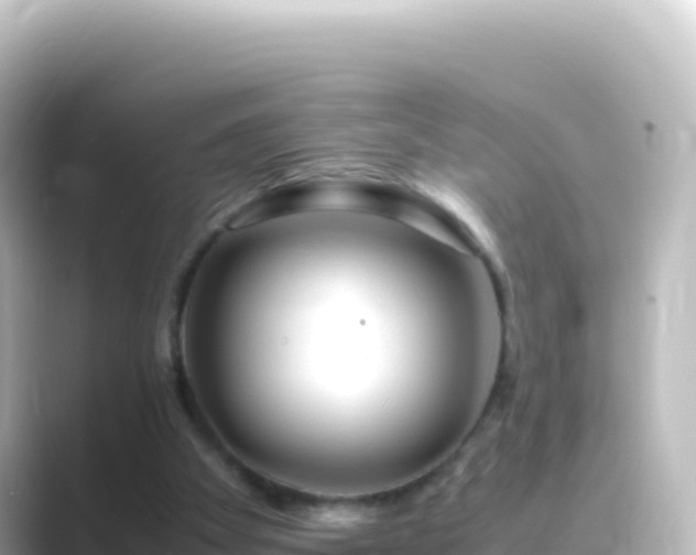 X0000089430105200706221218