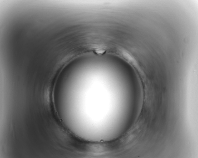 X0000089430106200706221218