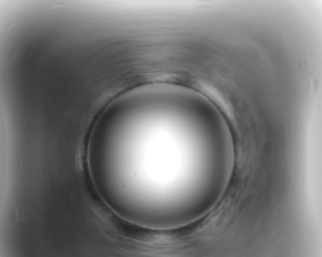 X0000089430107200706221218