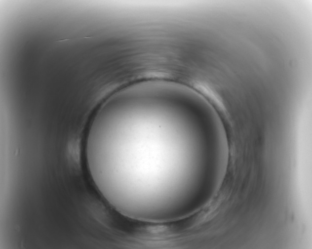 X0000089430108200706221218