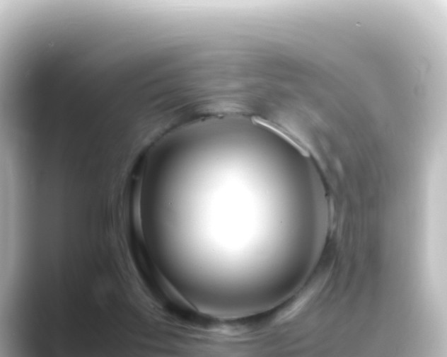 X0000089430109200706221218