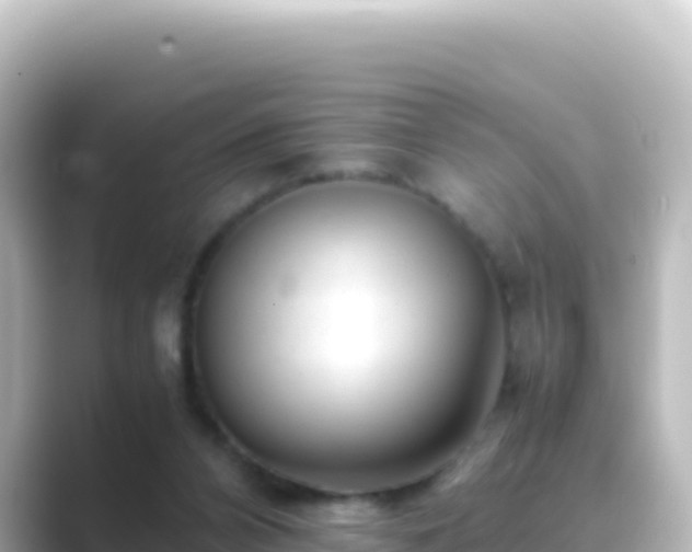 X0000089430112200706221218