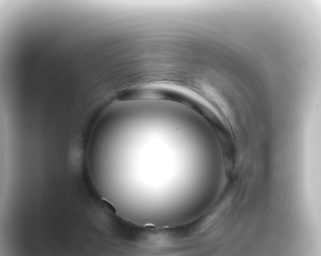 X0000089430113200706221218