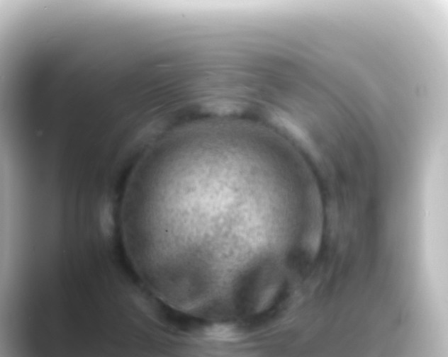 X0000089430114200706221218