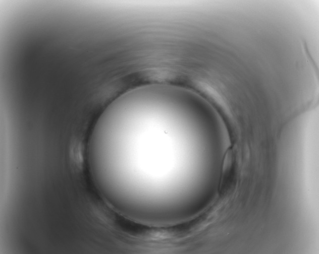 X0000089430115200706221218