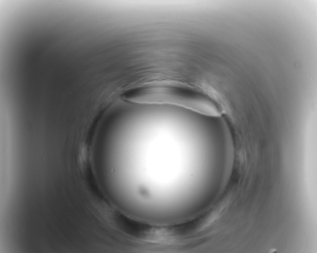 X0000089430117200706221218