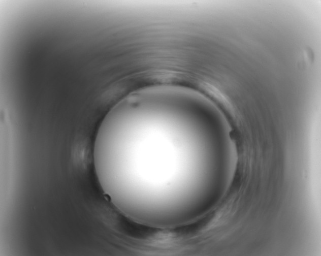 X0000089430119200706221218