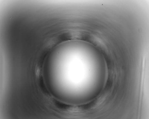 X0000089430123200706221218