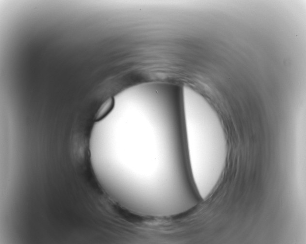 X0000089430125200706221218