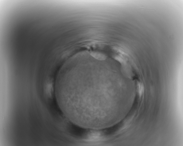 X0000089430127200706221218