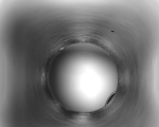 X0000089430128200706221218