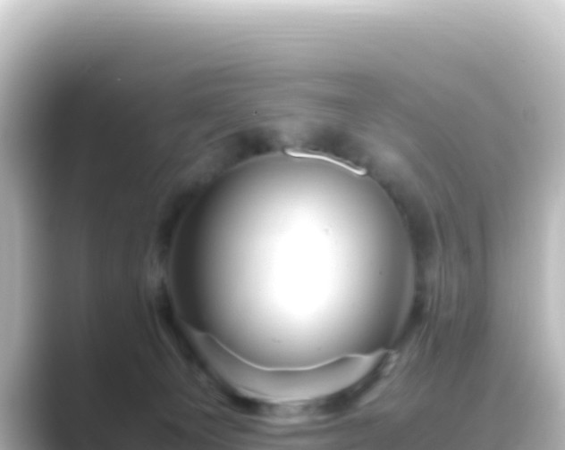 X0000089430129200706221218