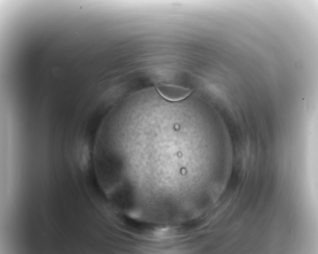 X0000089430130200706221218