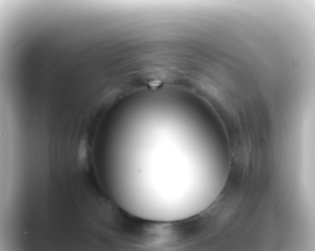 X0000089430132200706221218