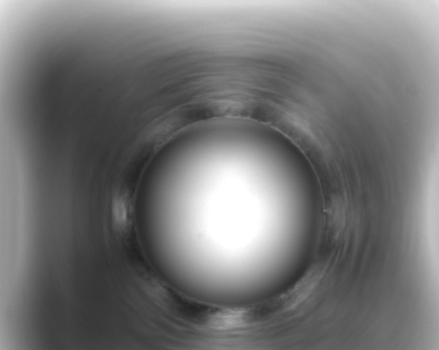 X0000089430138200706221218