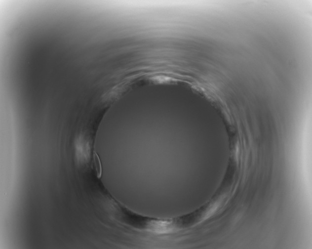 X0000089430139200706221218