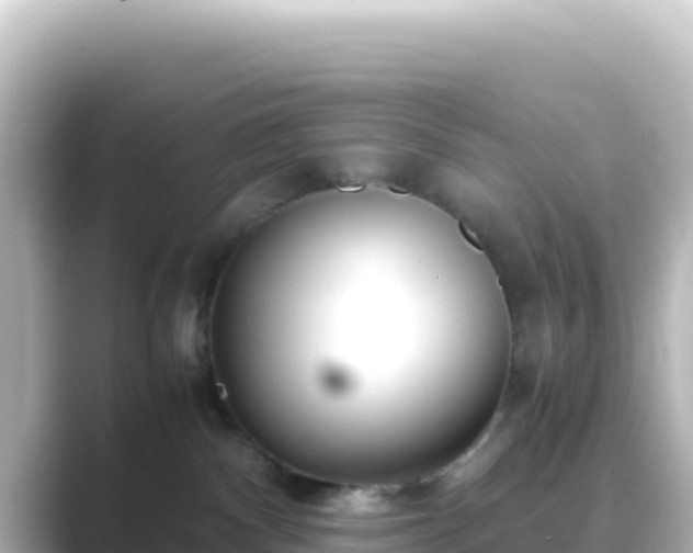 X0000089430140200706221218