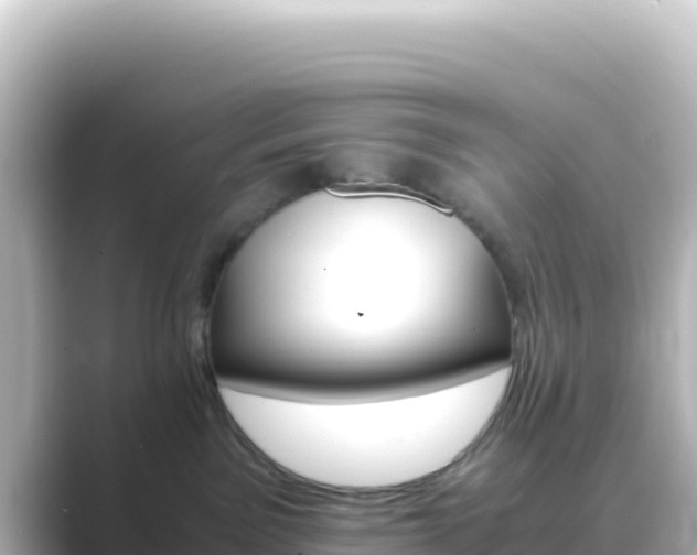 X0000089430141200706221218