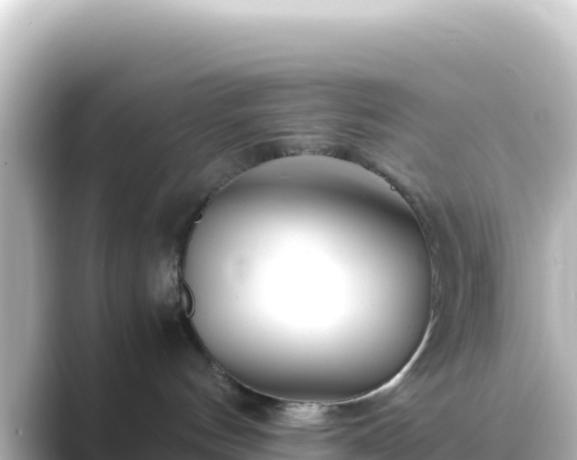 X0000089430144200706221218