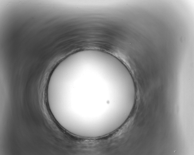 X0000089430145200706221217