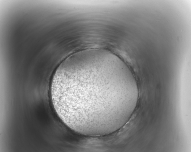 X0000089430146200706221217