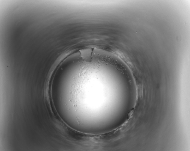 X0000089430147200706221217