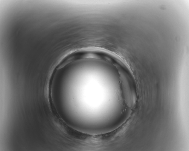 X0000089430148200706221217