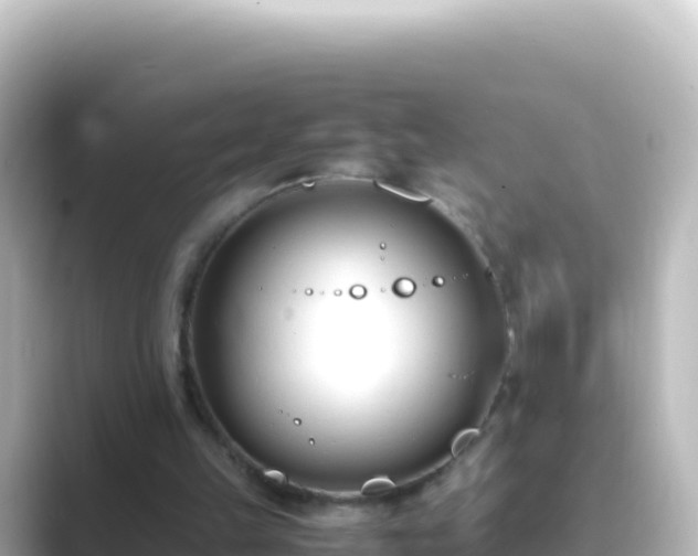 X0000089430149200706221217