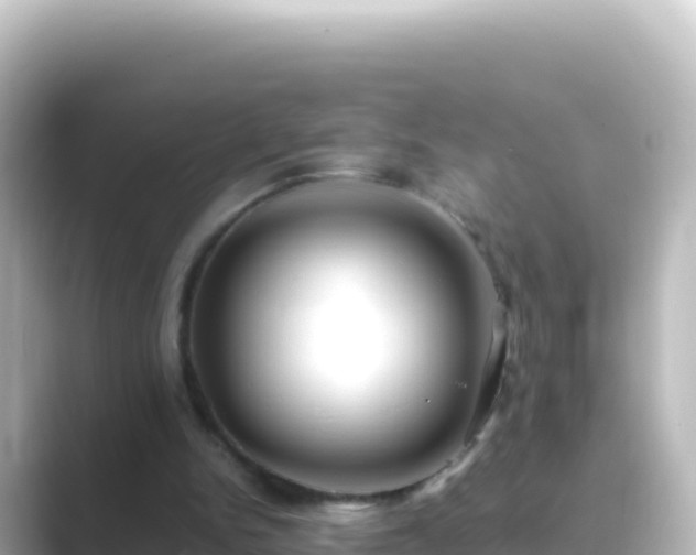 X0000089430150200706221217