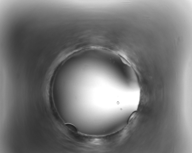 X0000089430151200706221217