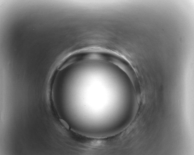 X0000089430152200706221217