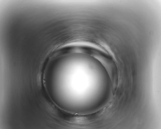 X0000089430154200706221217