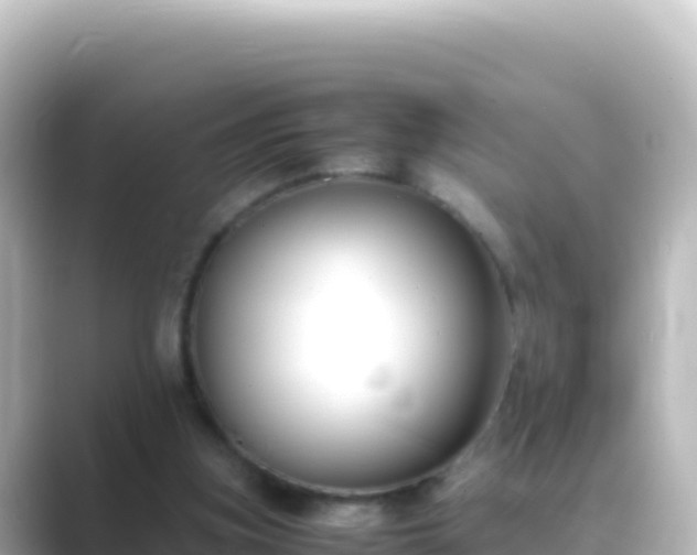 X0000089430155200706221217