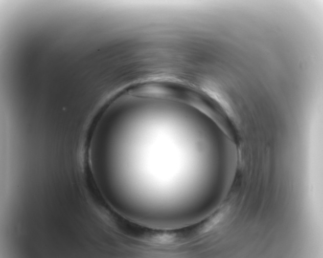 X0000089430156200706221217