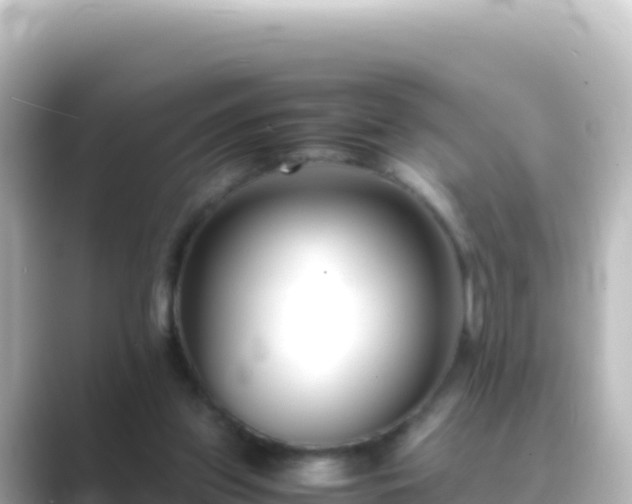 X0000089430157200706221217