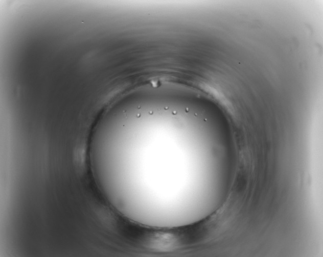 X0000089430159200706221217