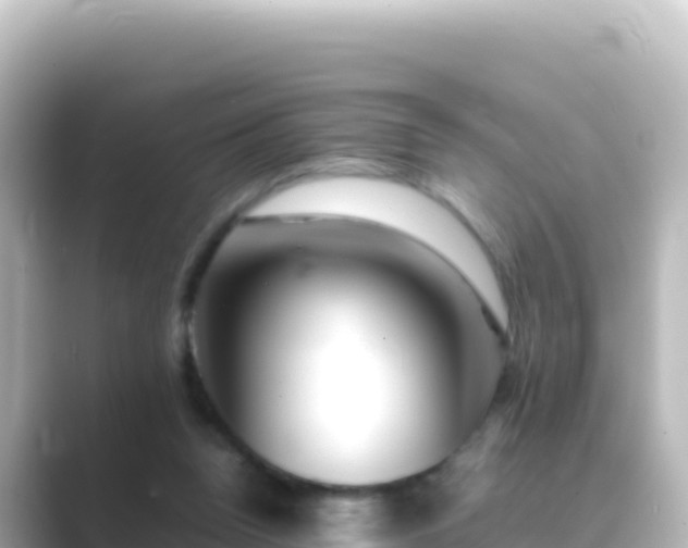 X0000089430160200706221217