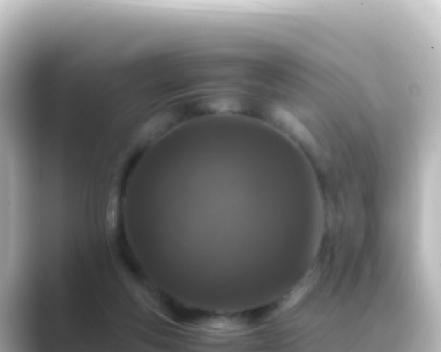 X0000089430163200706221217